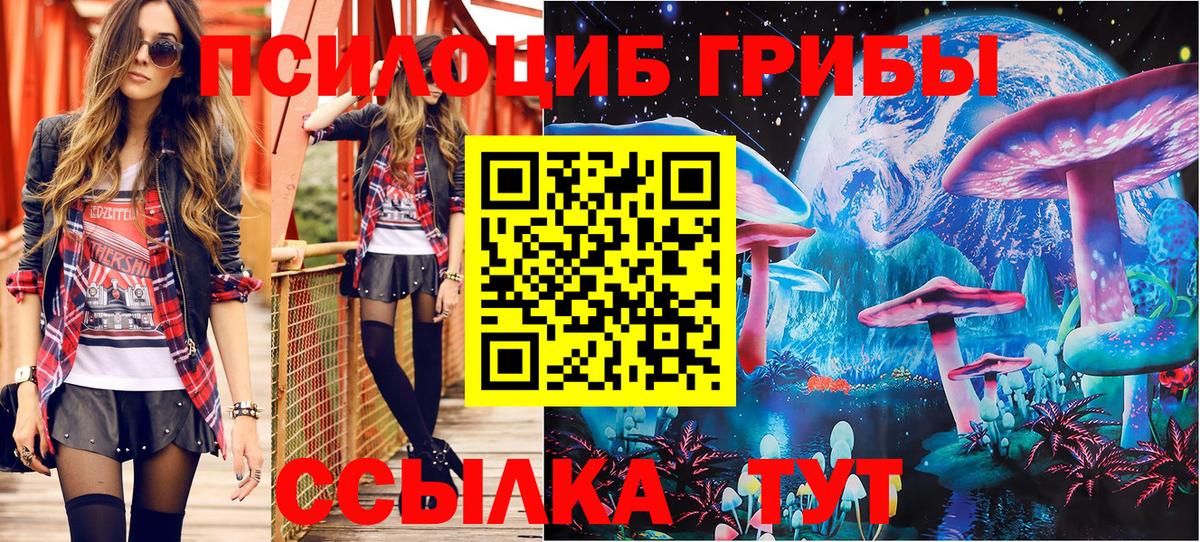 Магадан  Галлюциногенные грибы прущие грибы  наркошоп  Вход с VPN 