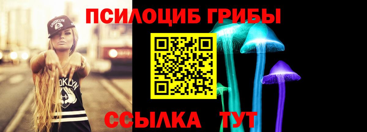 Галлюциногенные грибы Cubensis Магадан